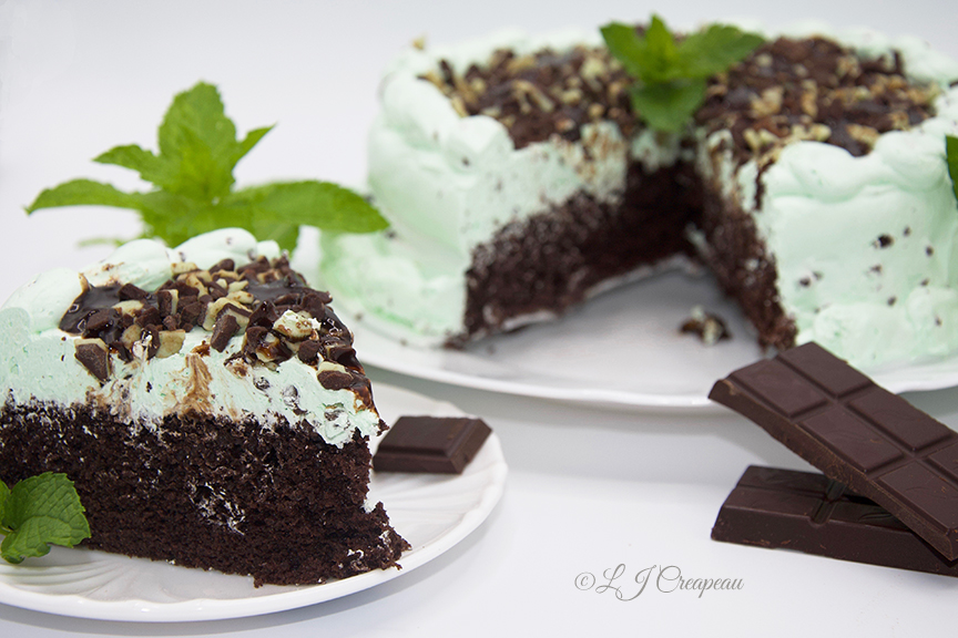 LJ Creapeau Master Photographer food photography of mint chocolate cake