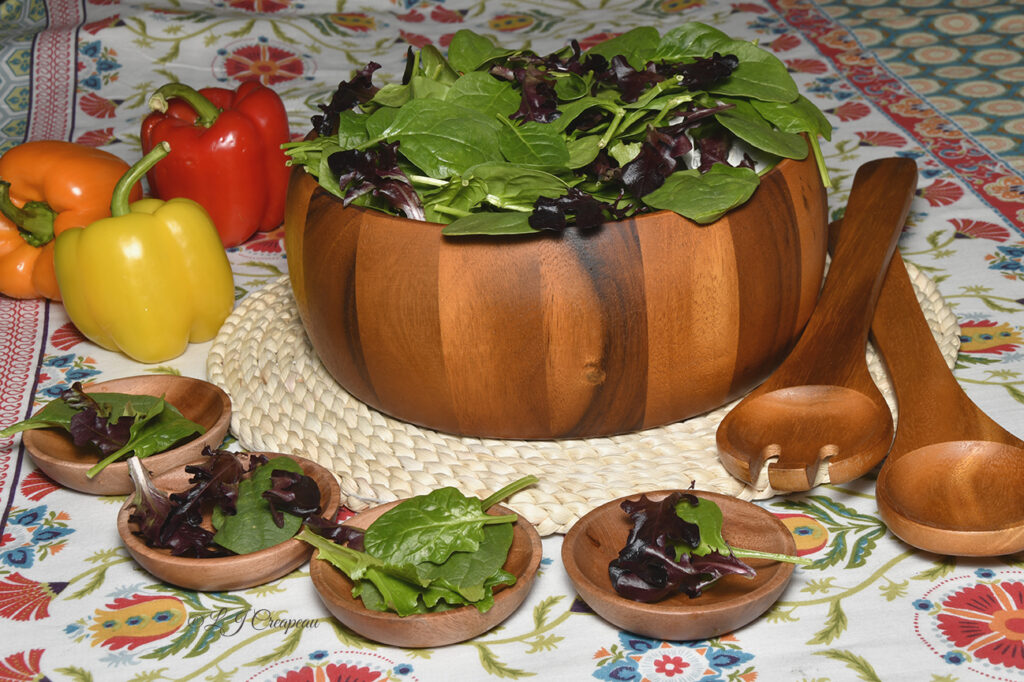 Wooden Salad bowl set product photo by LJ Creapeau, Master Photographer